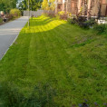 Кошение газонов